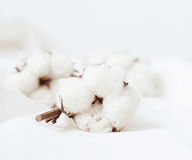 ムレ・かゆみ・肌トラブル解消